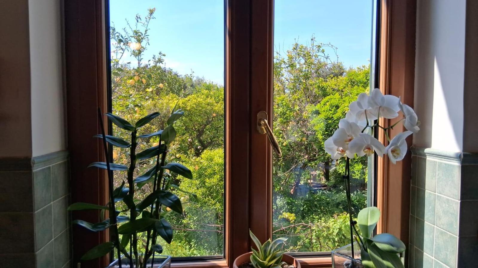Appartement Il Giardino Dei Gigli à Meta Extérieur photo