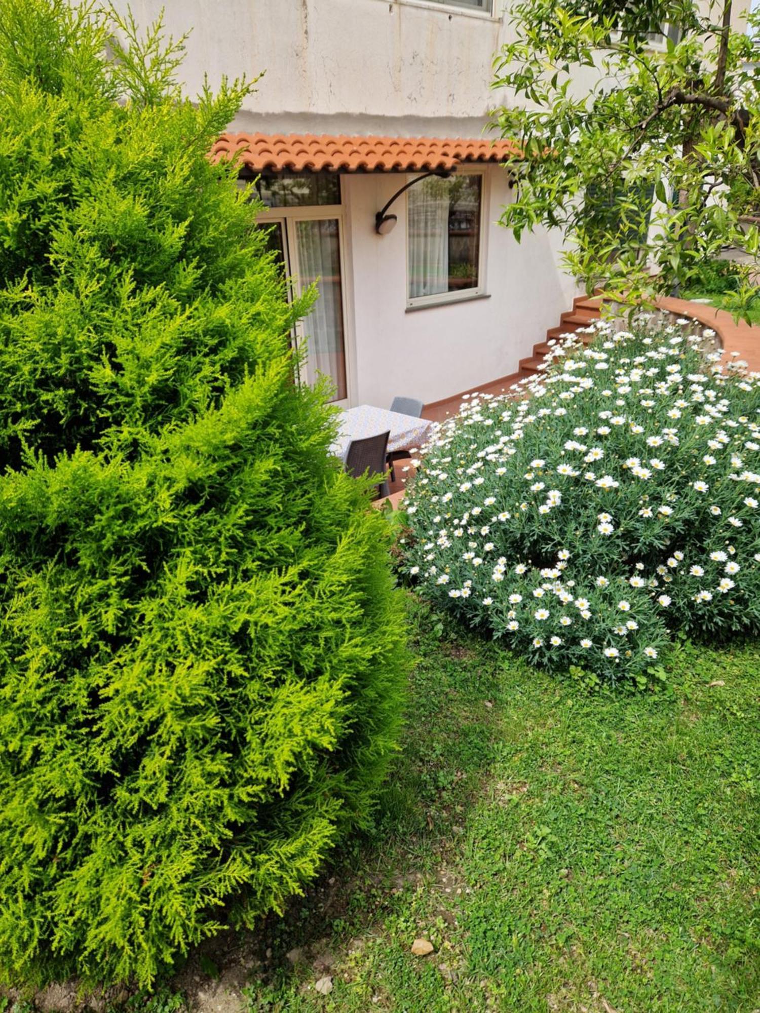 Appartement Il Giardino Dei Gigli à Meta Extérieur photo